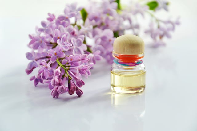 Lavender Essential Oil Benefits & UsesLavender Essential Oil Benefits & Uses
