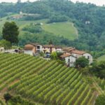 Everything You Need to Know Before Buying Sloping Land