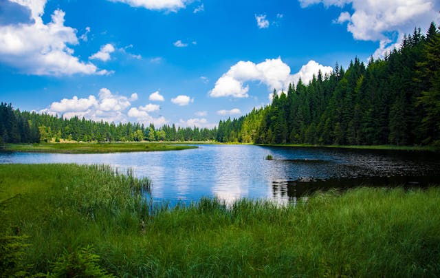 Brain-Eating Amoeba: Safety Tips Every Traveller Should Know