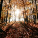 Golden Hour Getaways: Travel Destinations Made for Fall