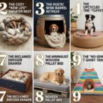 10 DIY Beds for your pet