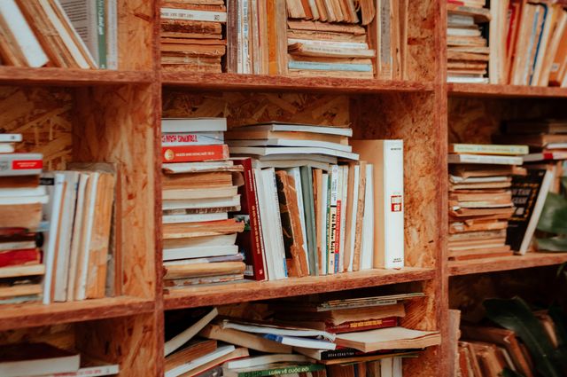5 Fantastico Steps to Organize Your Bookshelf